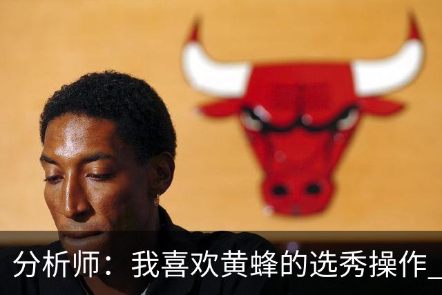 分析师：我喜欢黄蜂的选秀操作 施泰因巴赫简直是个内线巨兽